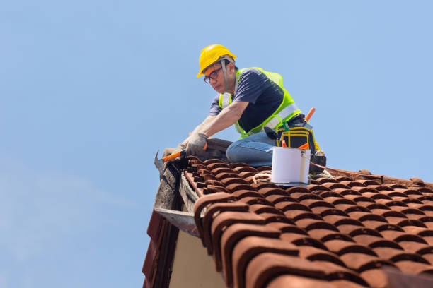 Best 4 Ply Roofing  in Carson City, MI